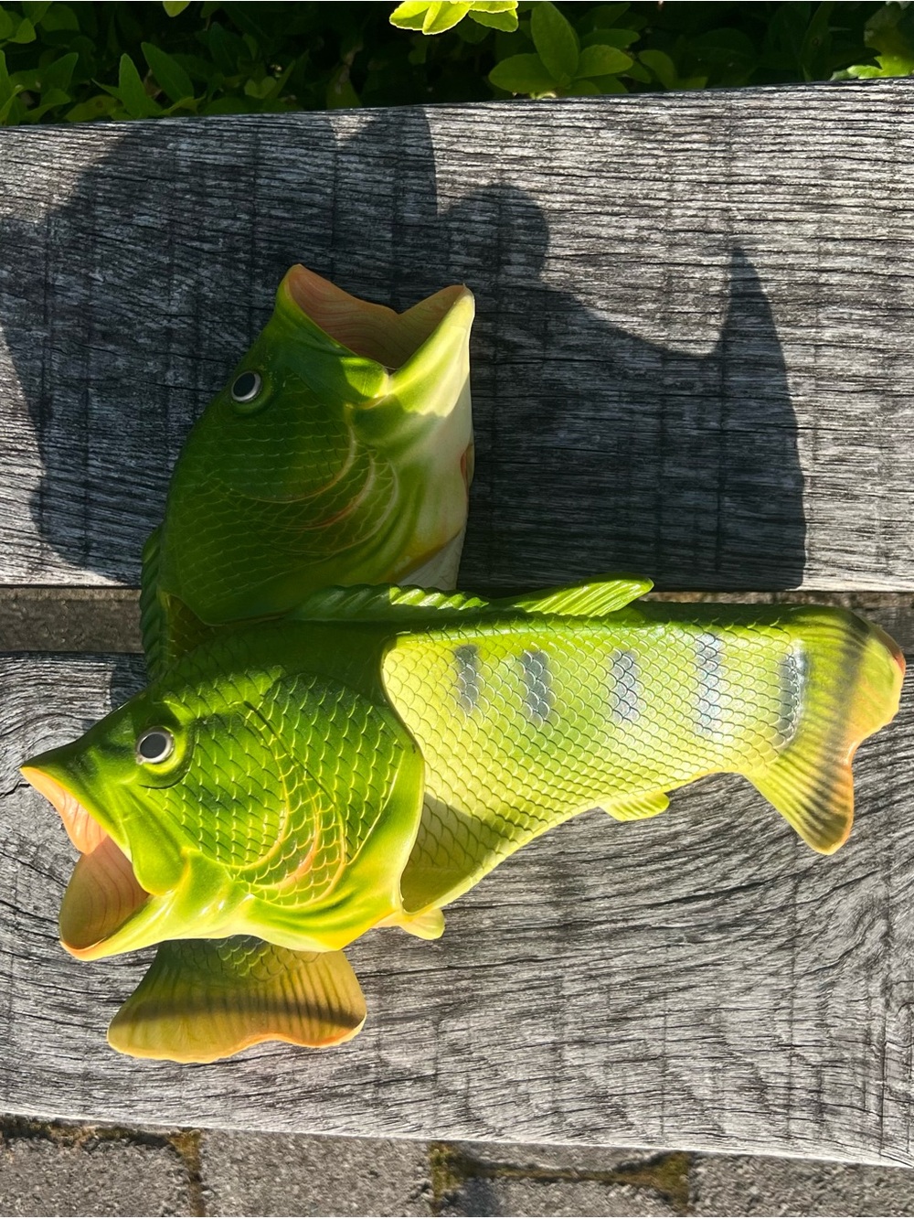 Fish flip flops